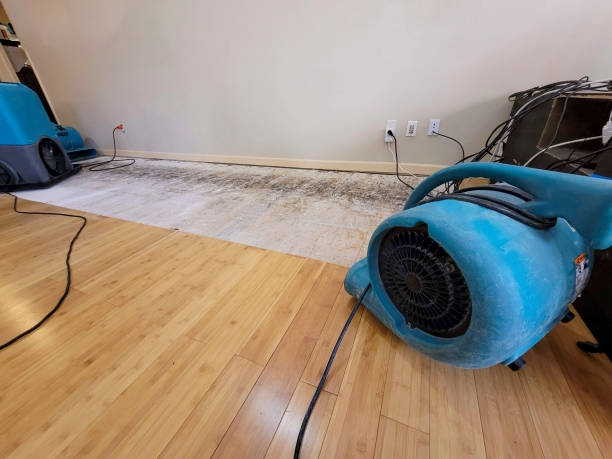 Professional Structural Drying technician working in Hardy, IA